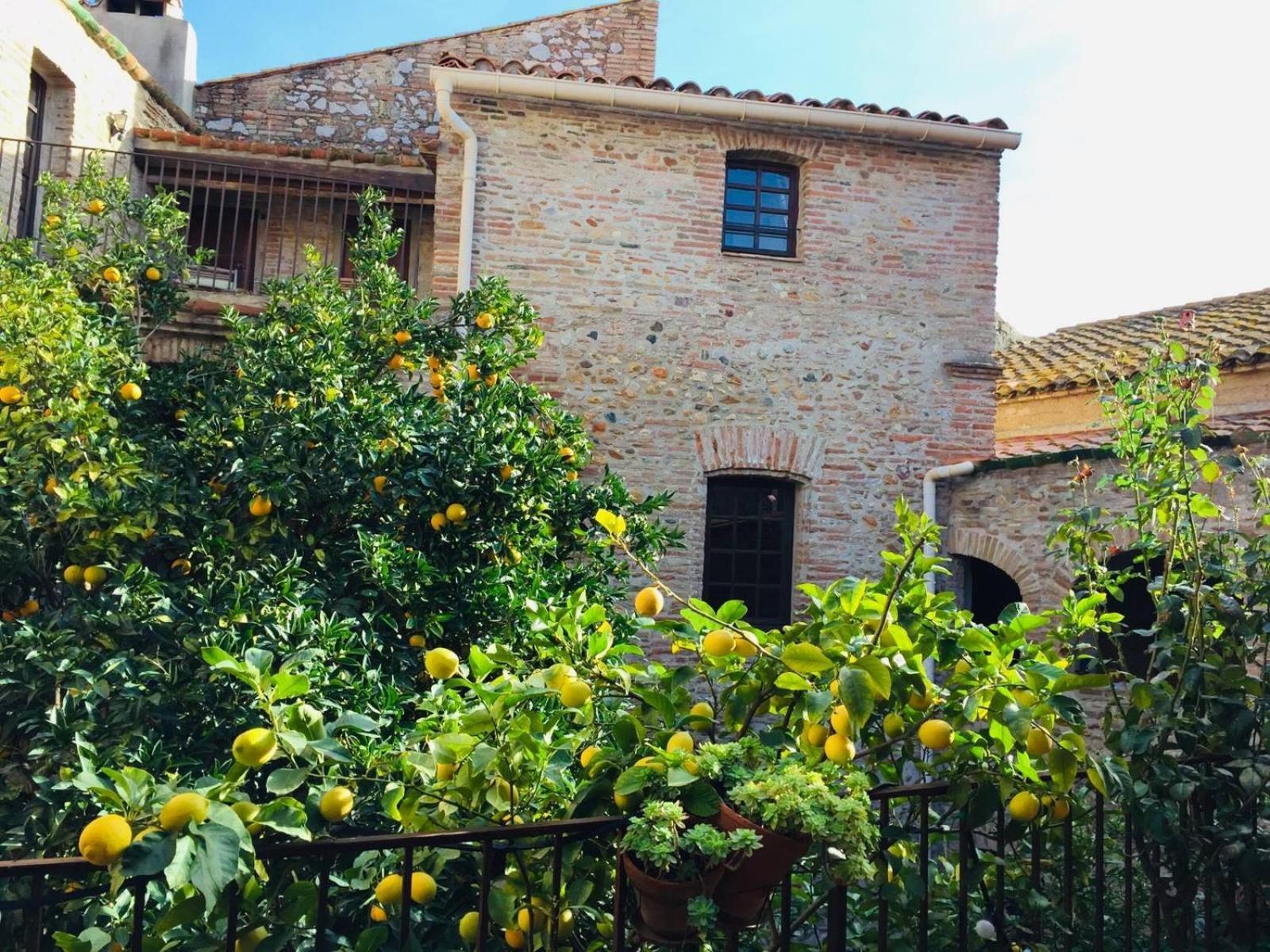 La Vieille Demeure Guest house
