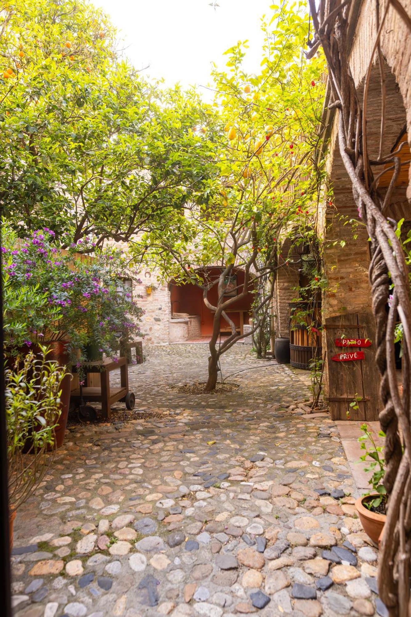 La Vieille Demeure 3* Torreilles